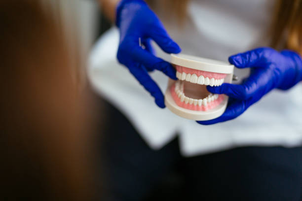 Best Veneers and Lumineers  in Arizona City, AZ